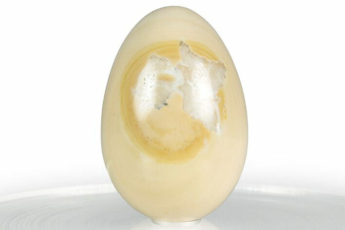Polished Cream Rhyolite Egg - Philippines #356466